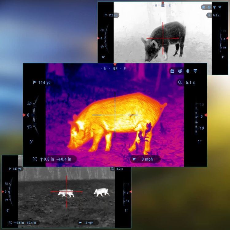 PRECISION OPTICS & NIGHT VISION